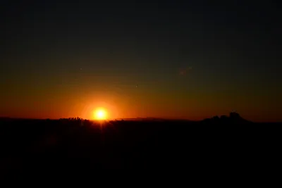 DSC_1464 (Large).JPG